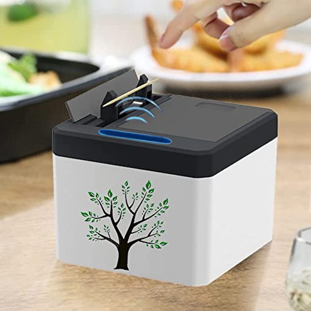 Smart Toothpick Dispenser with Built In Storage