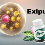 Timing Matters: The Best Time of Day to Take Exipure