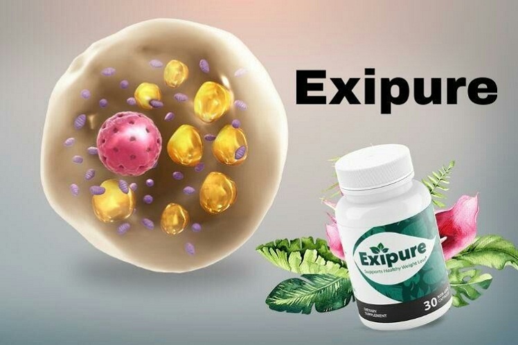 Best Time of Day to Take Exipure