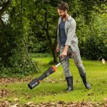 Top 10 Best Leaf Blowers to Buy (December 2024)