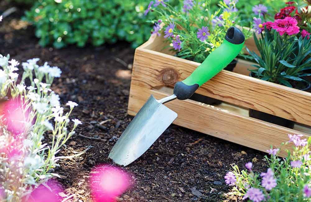 Top 10 Best Garden Trowels to Buy (July 2024)