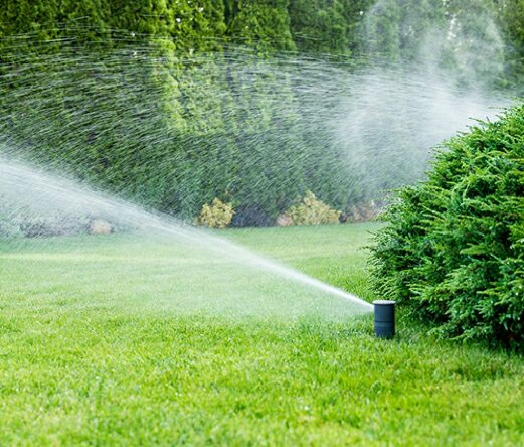 Key Factors to Consider Before Buying a Smart Sprinkler Controller