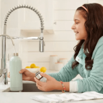 Top 10 Countertop Water Filters for Home to Buy (December 2024)