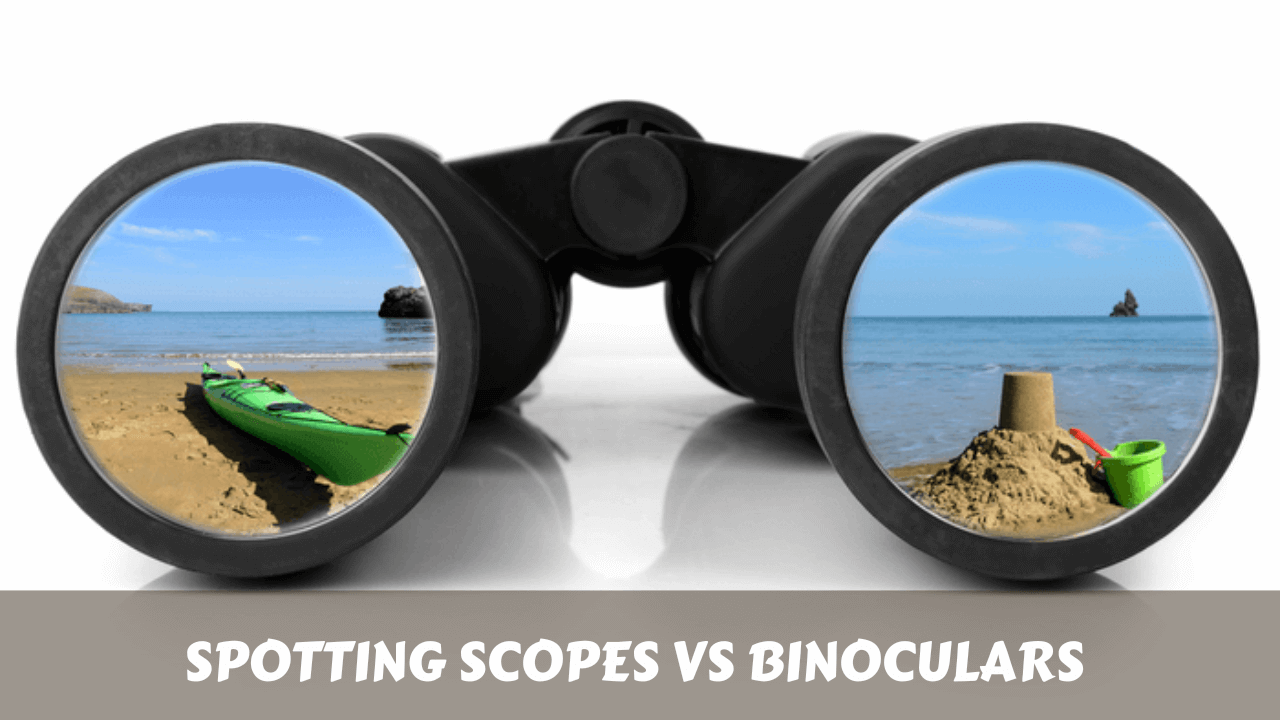 Spotting Scopes vs Binoculars